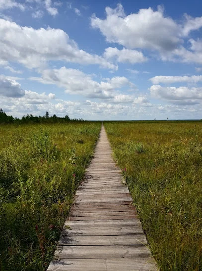 Biebrzański Park Narodowy