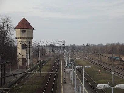 Wieża widokowa nad Bagnami Biebrzańskimi